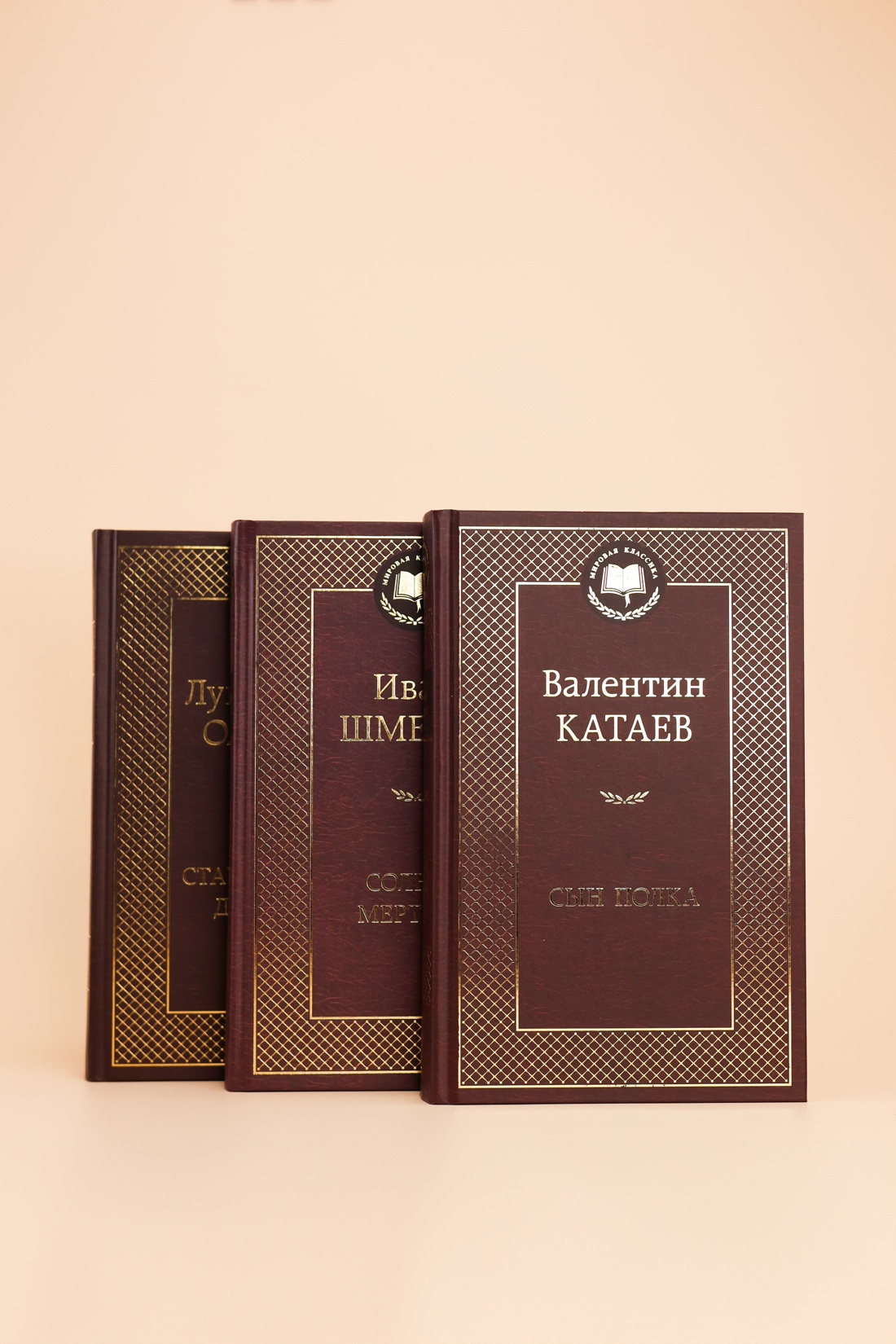 Промо материал к книге "Государство и революция (твердый)" №2
