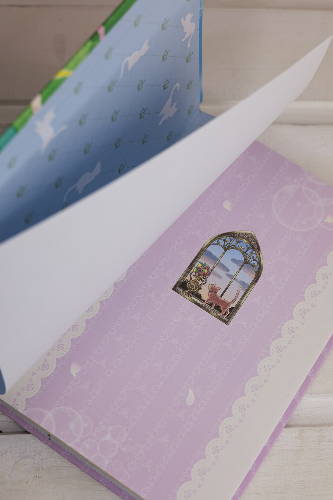 Промо материал к книге "Модные лапки" №9