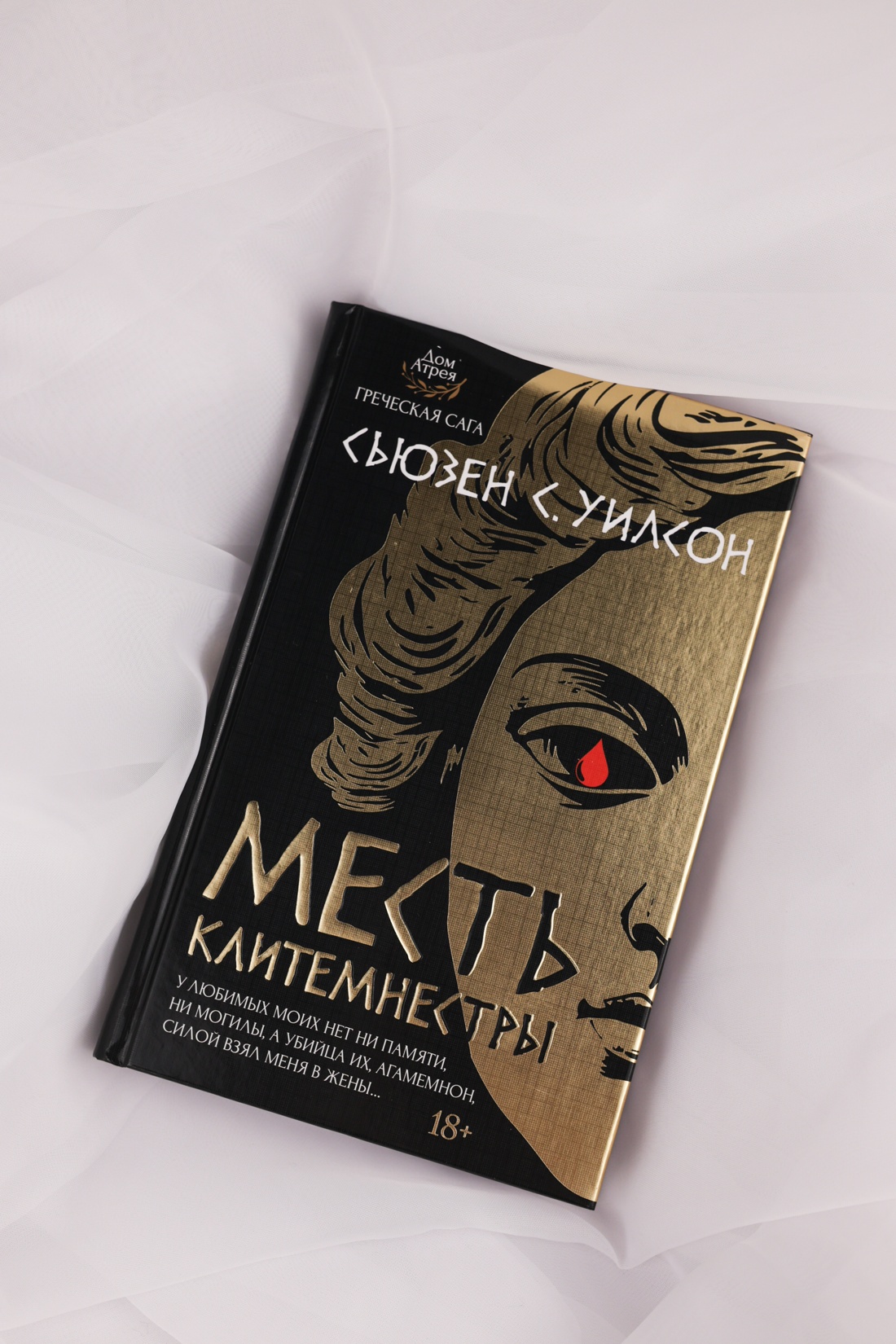 Промо материал к книге "Месть Клитемнестры" №5