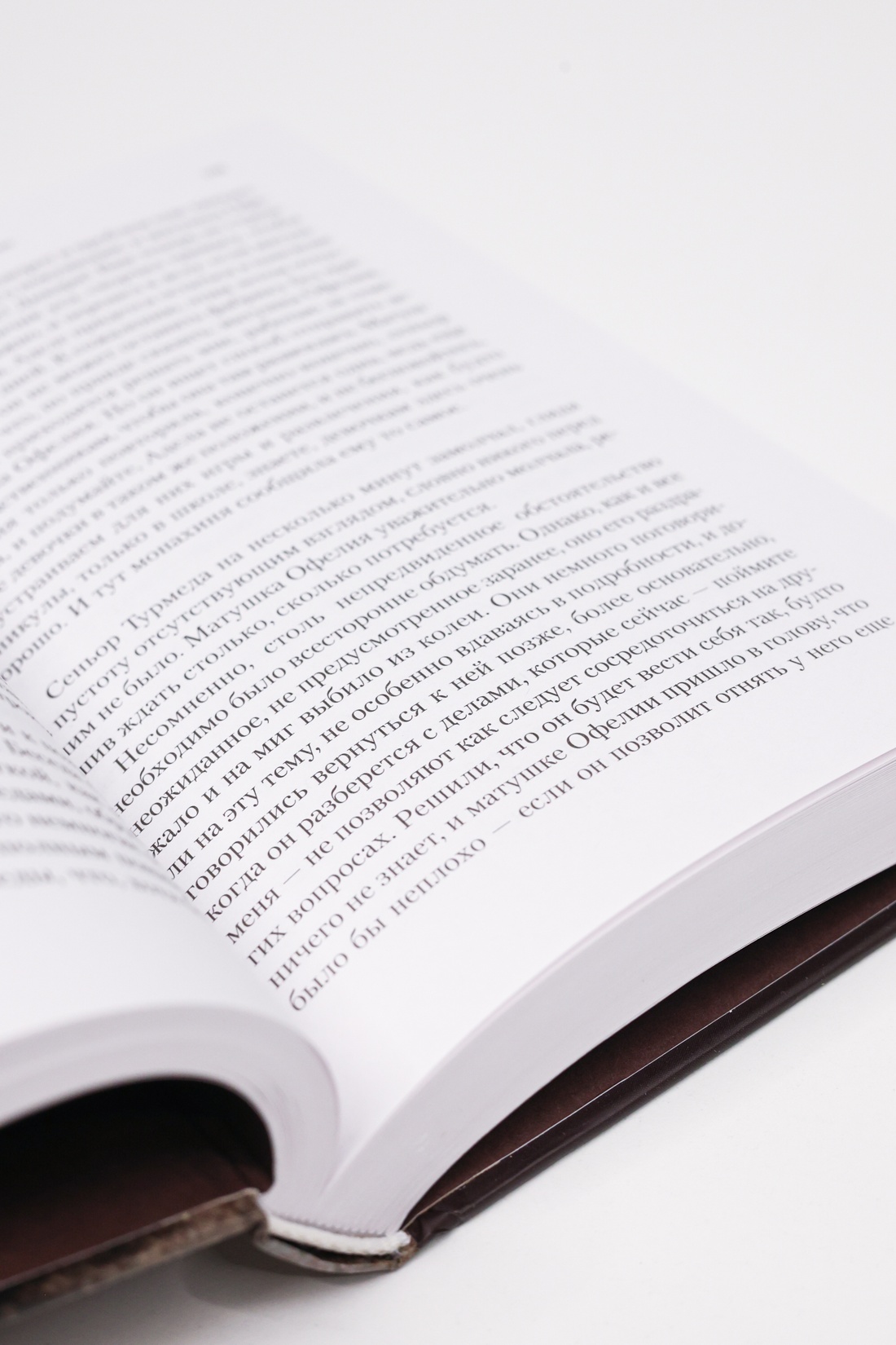Промо материал к книге "Книга Фейшеса" №9