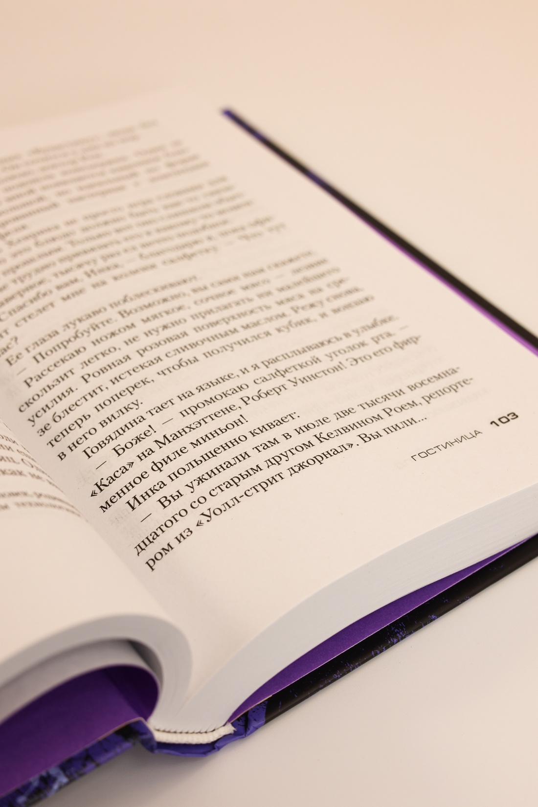 Промо материал к книге "Гостиница" №6