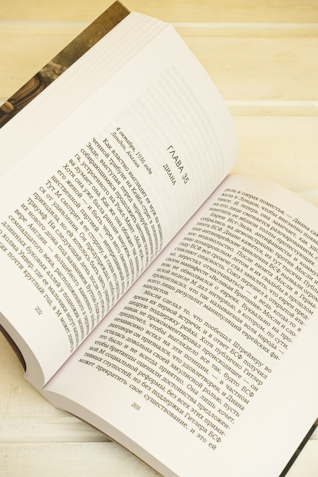 Промо материал к книге "Верность сестер Митфорд" №8