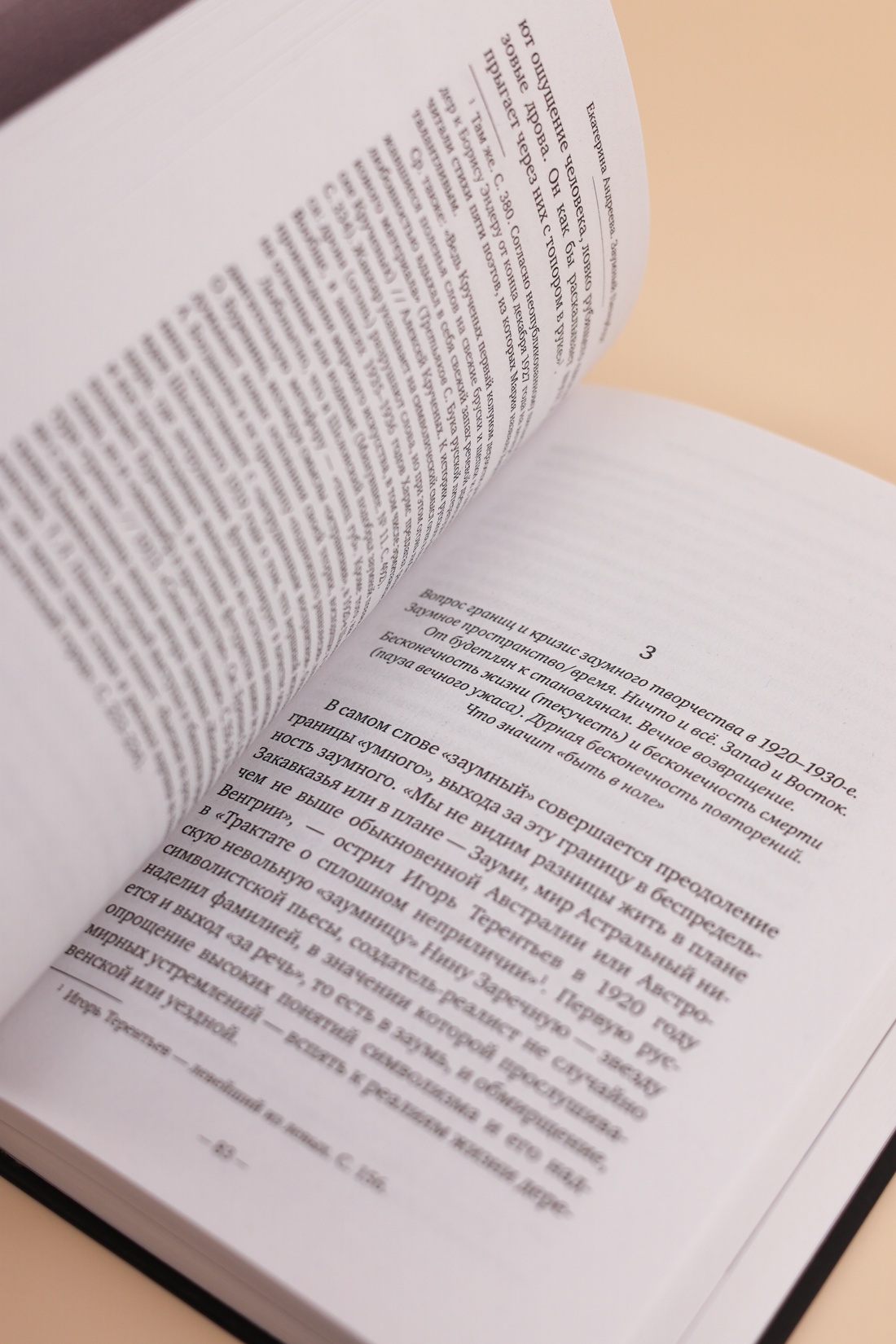 Промо материал к книге "Заумный Петербург" №12