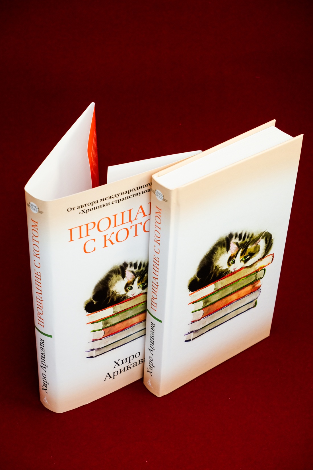 Промо материал к книге "Прощание с котом" №10