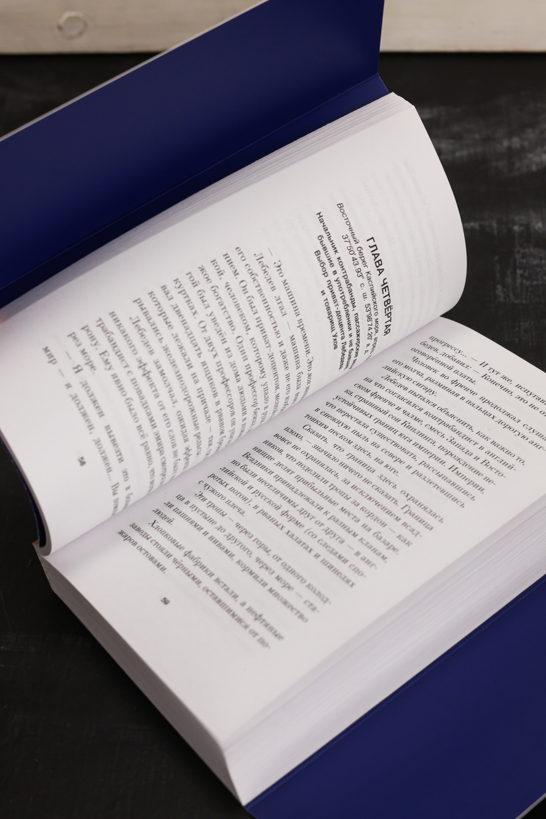 Промо материал к книге "Мамонт" №8