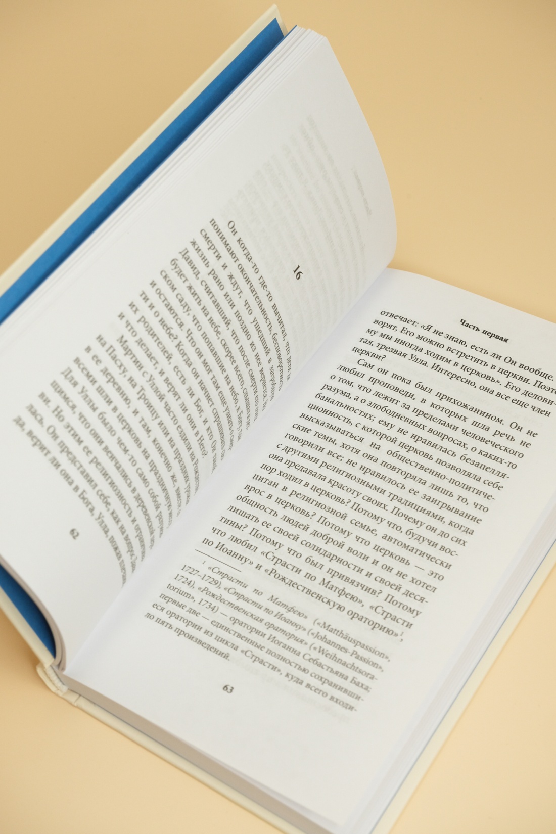 Промо материал к книге "Поздняя жизнь" №12