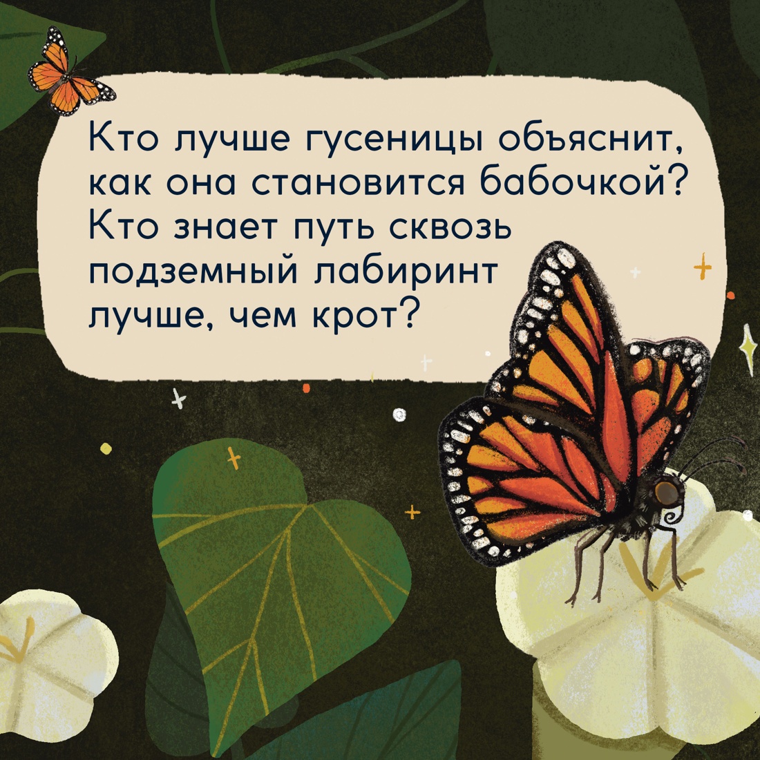 Промо материал к книге "Кто живёт в лесу? Иллюстрированный атлас животных" №4