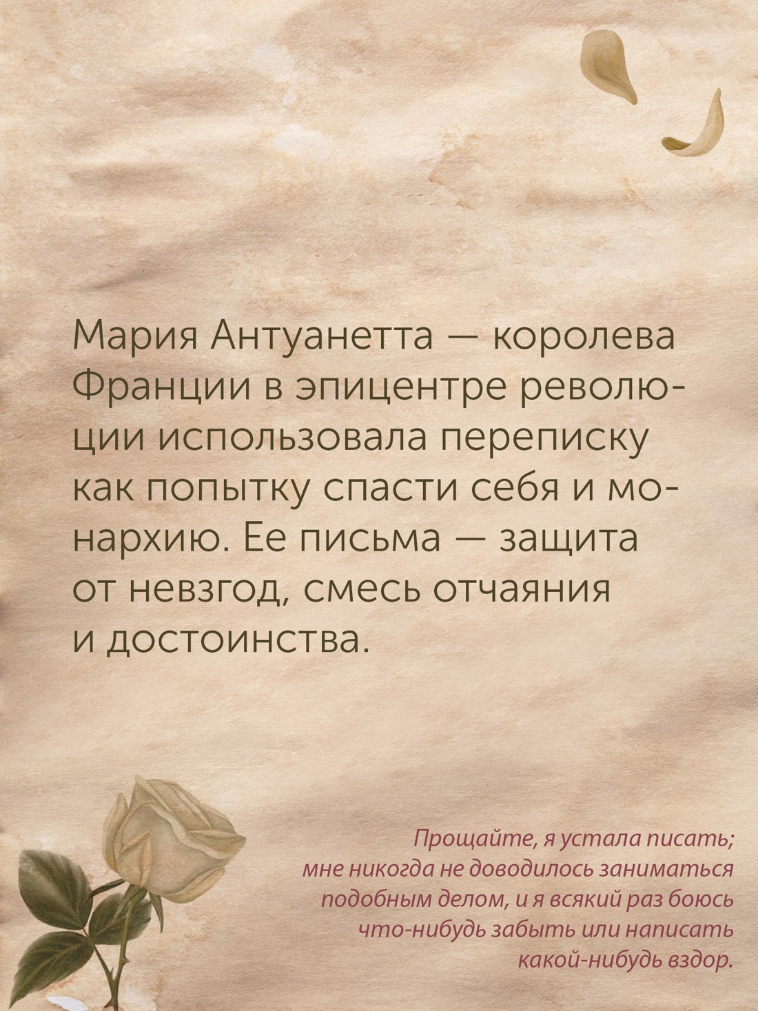 Промо материал к книге "Перо в её руке: Женские письма – женские судьбы в XVIII веке" №6