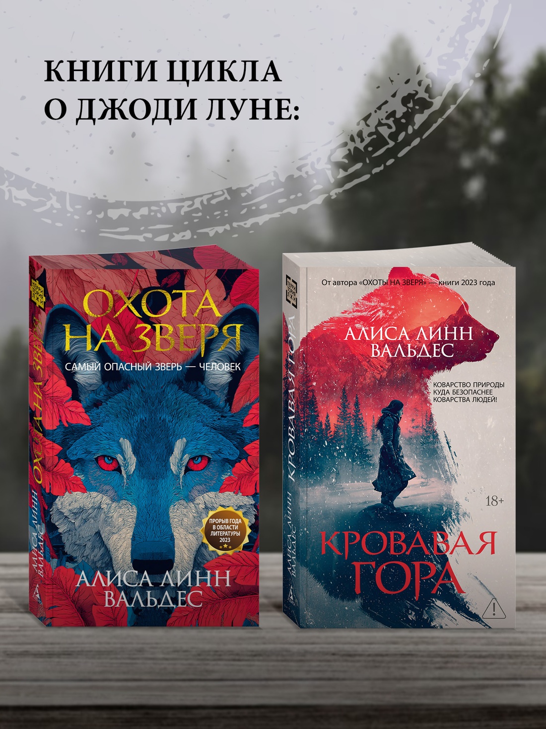 Промо материал к книге "Кровавая гора" №5