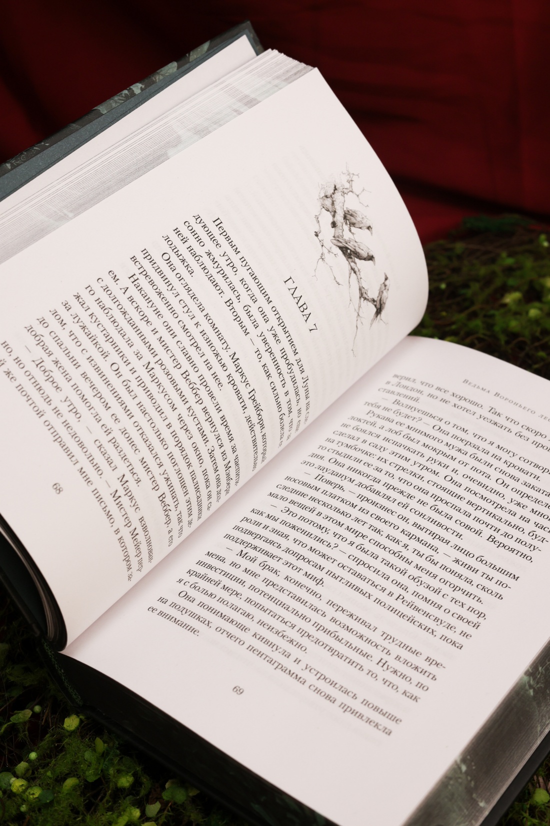 Промо материал к книге "Ведьма Вороньего леса" №10