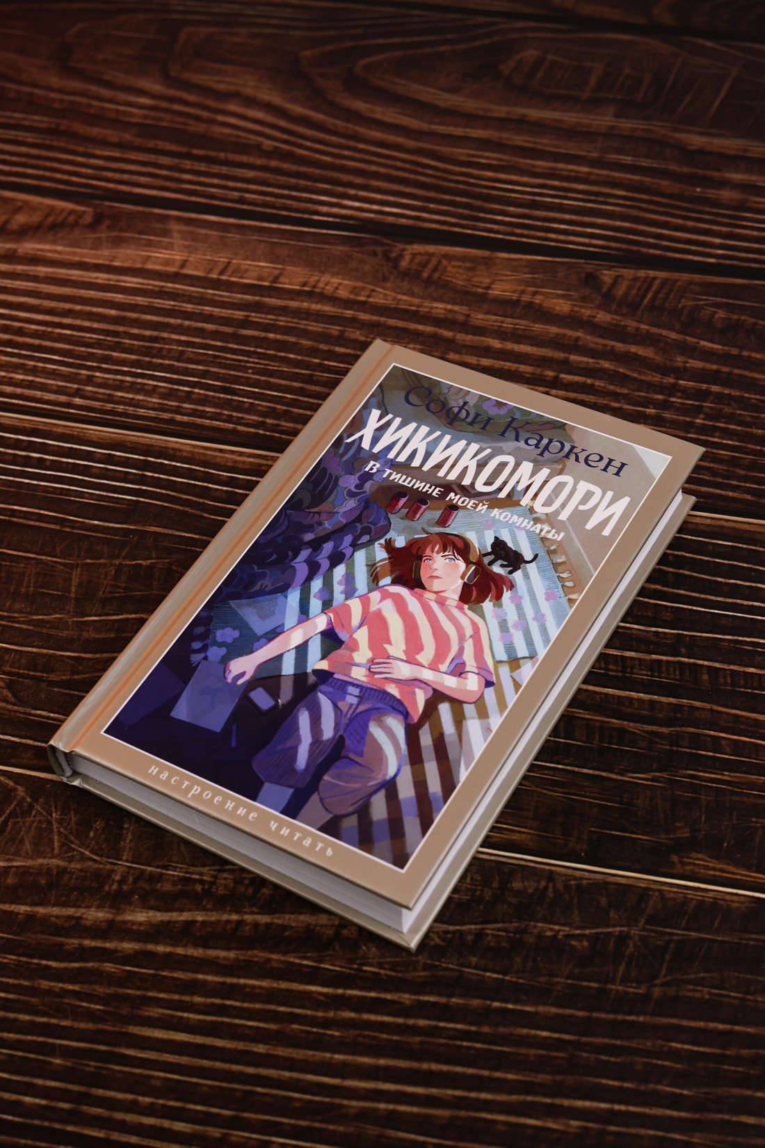 Промо материал к книге "Хикикомори. В тишине моей комнаты" №4