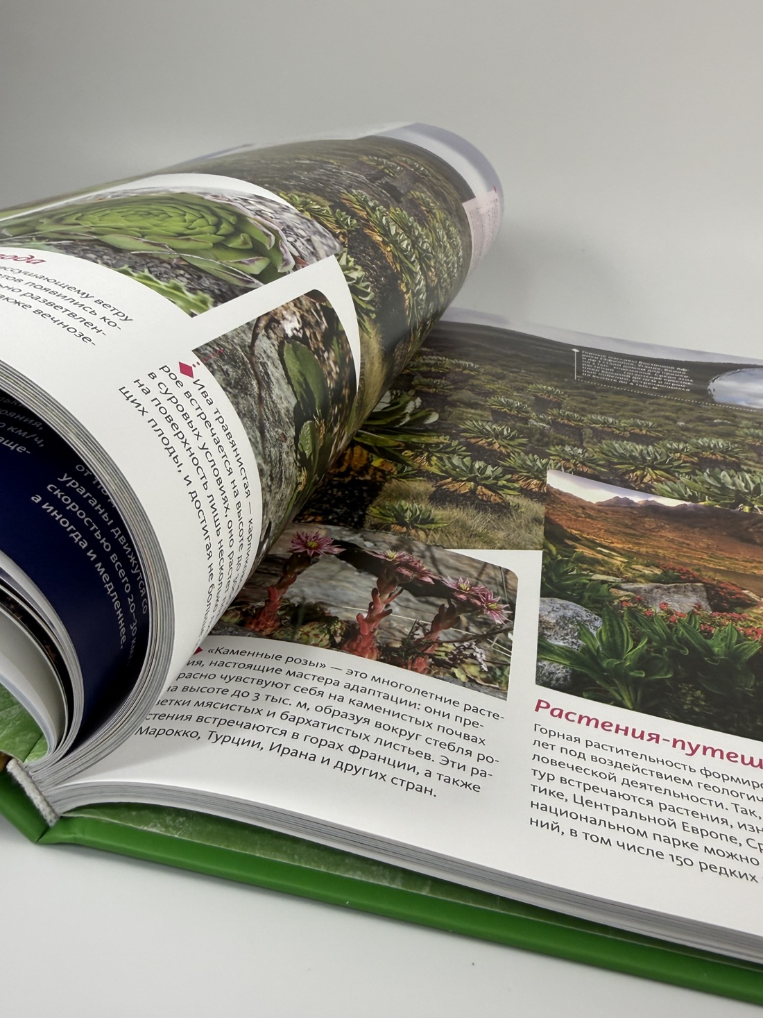 Промо материал к книге "Планета Земля. Факты и фотографии" №12