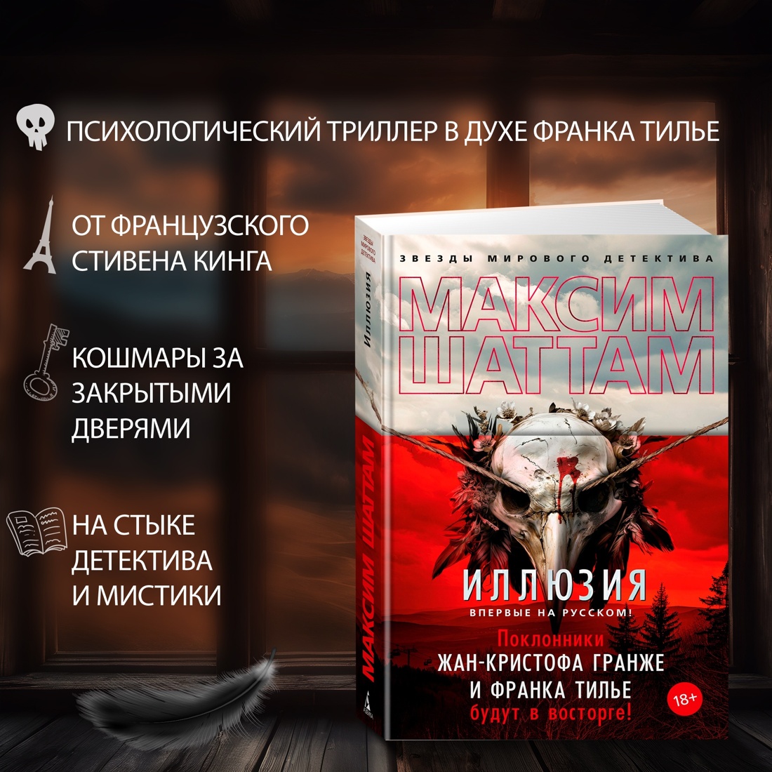 Промо материал к книге "Иллюзия (твердый)" №3