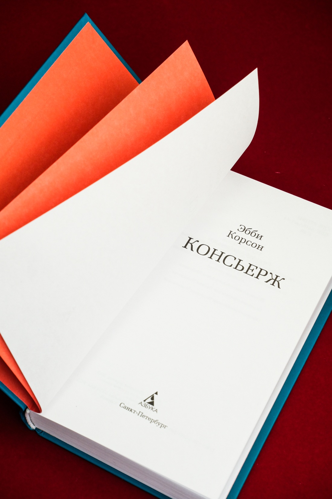 Промо материал к книге "Консьерж" №6