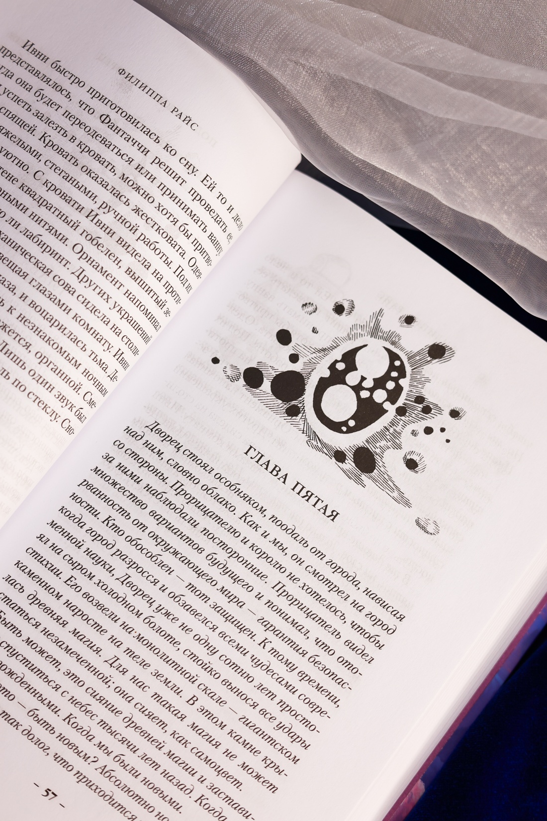 Промо материал к книге "Поднебесный дворец" №11