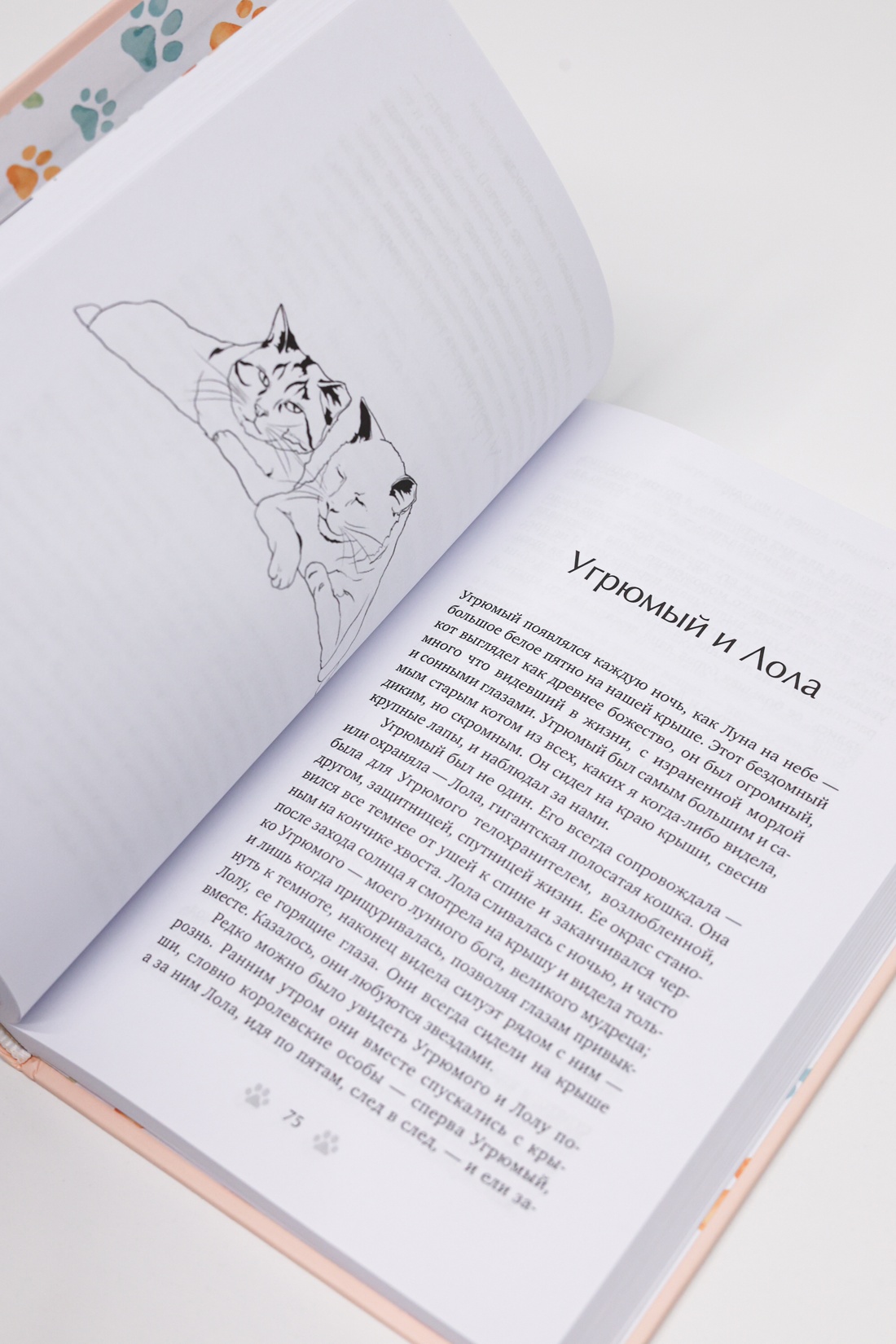 Промо материал к книге "Тридцать кошек и ни одной чужой. Мемуары о жизни, любви и принятии себя" №11