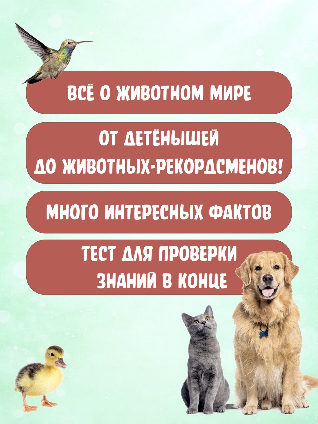 Промо материал к книге "Моя первая книга о животных. 200 фотографий" №2