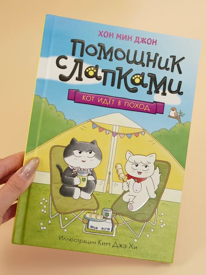 Промо материал к книге "Кот идёт в поход" №4