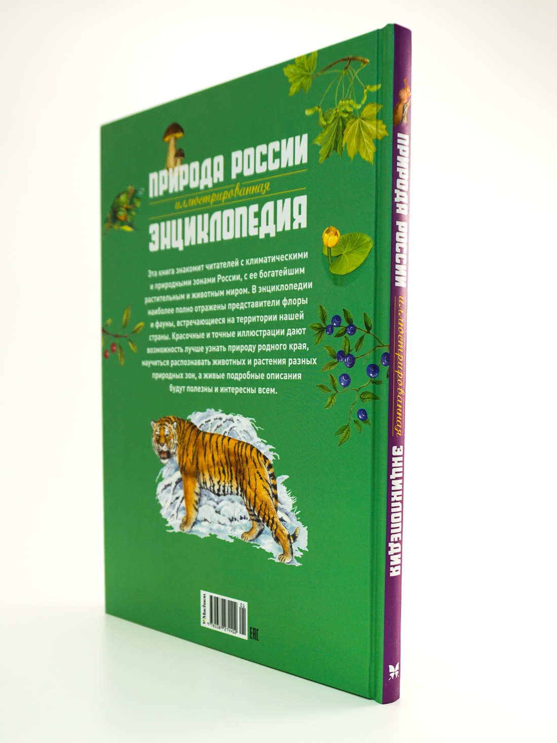 Промо материал к книге "Природа России. Иллюстрированная энциклопедия" №4