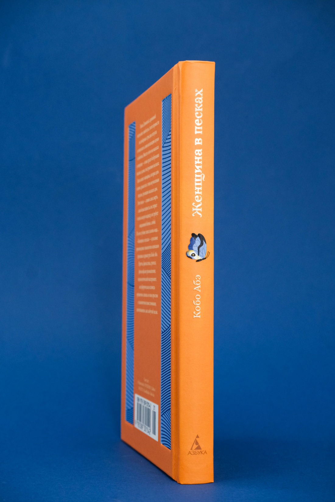 Промо материал к книге "Женщина в песках" №3