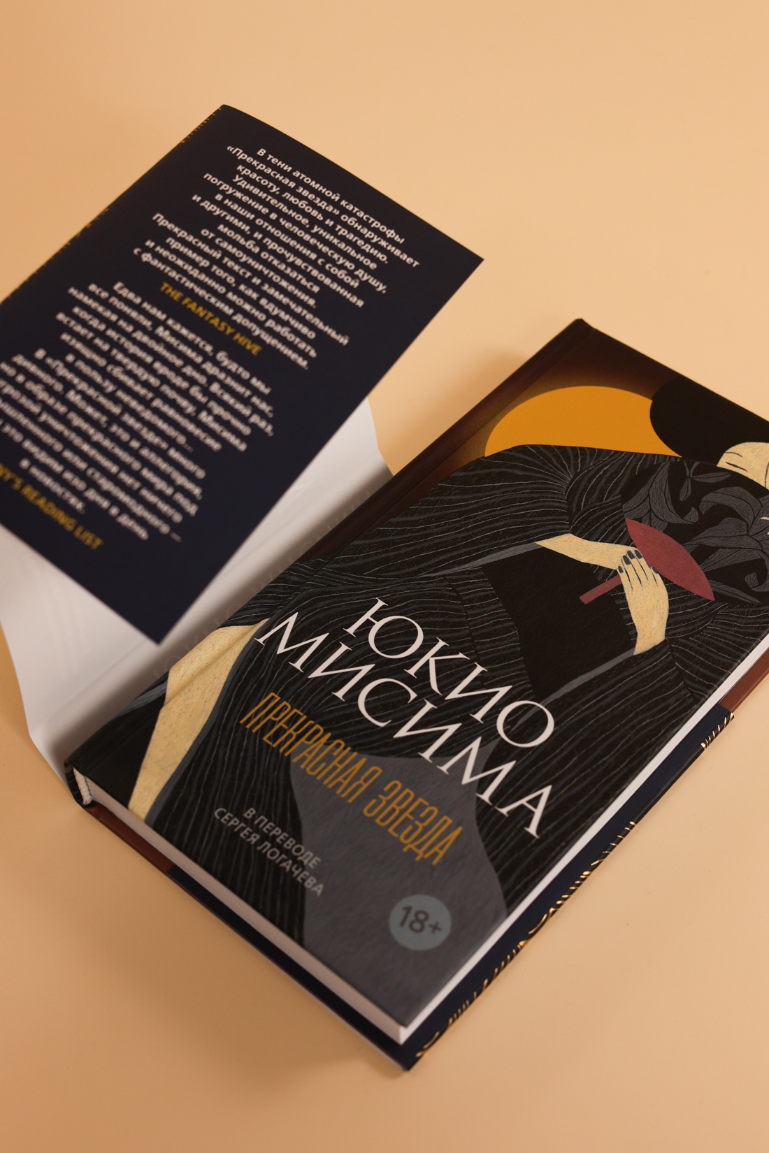 Промо материал к книге "Прекрасная звезда" №4