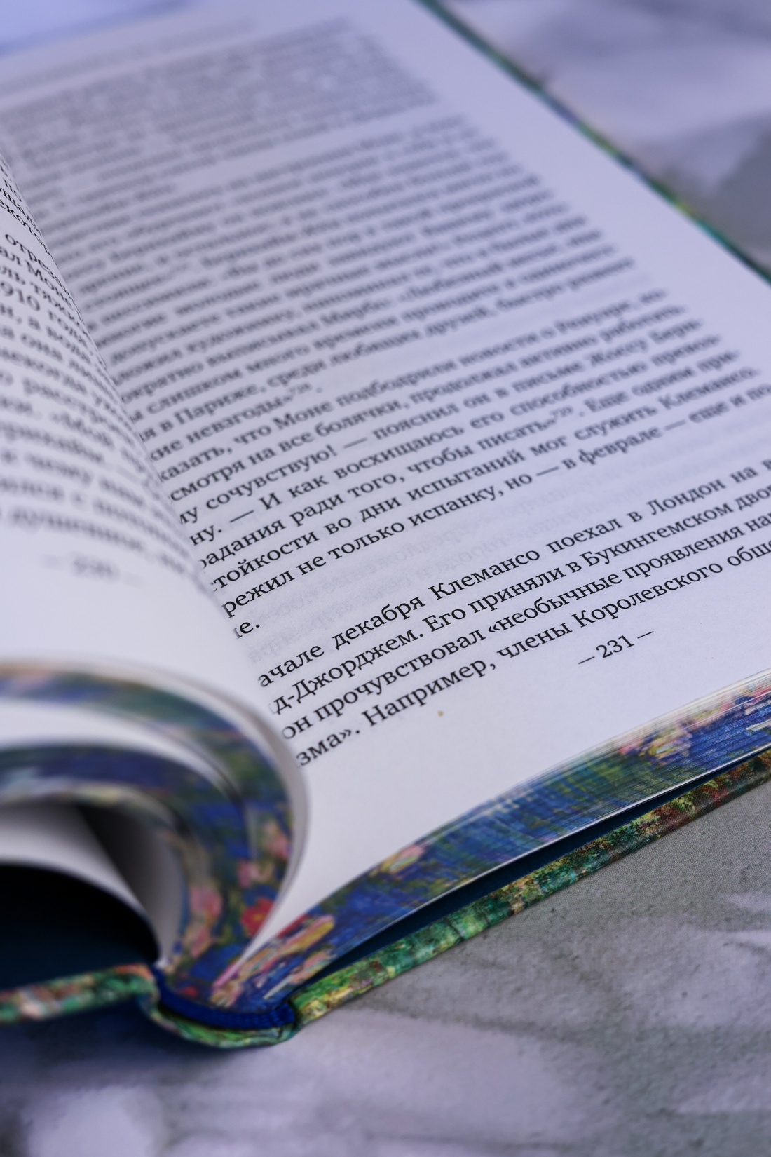 Промо материал к книге "Чарующее безумие. Клод Моне и водяные лилии (Бестселлеры Non-Fiction)" №9