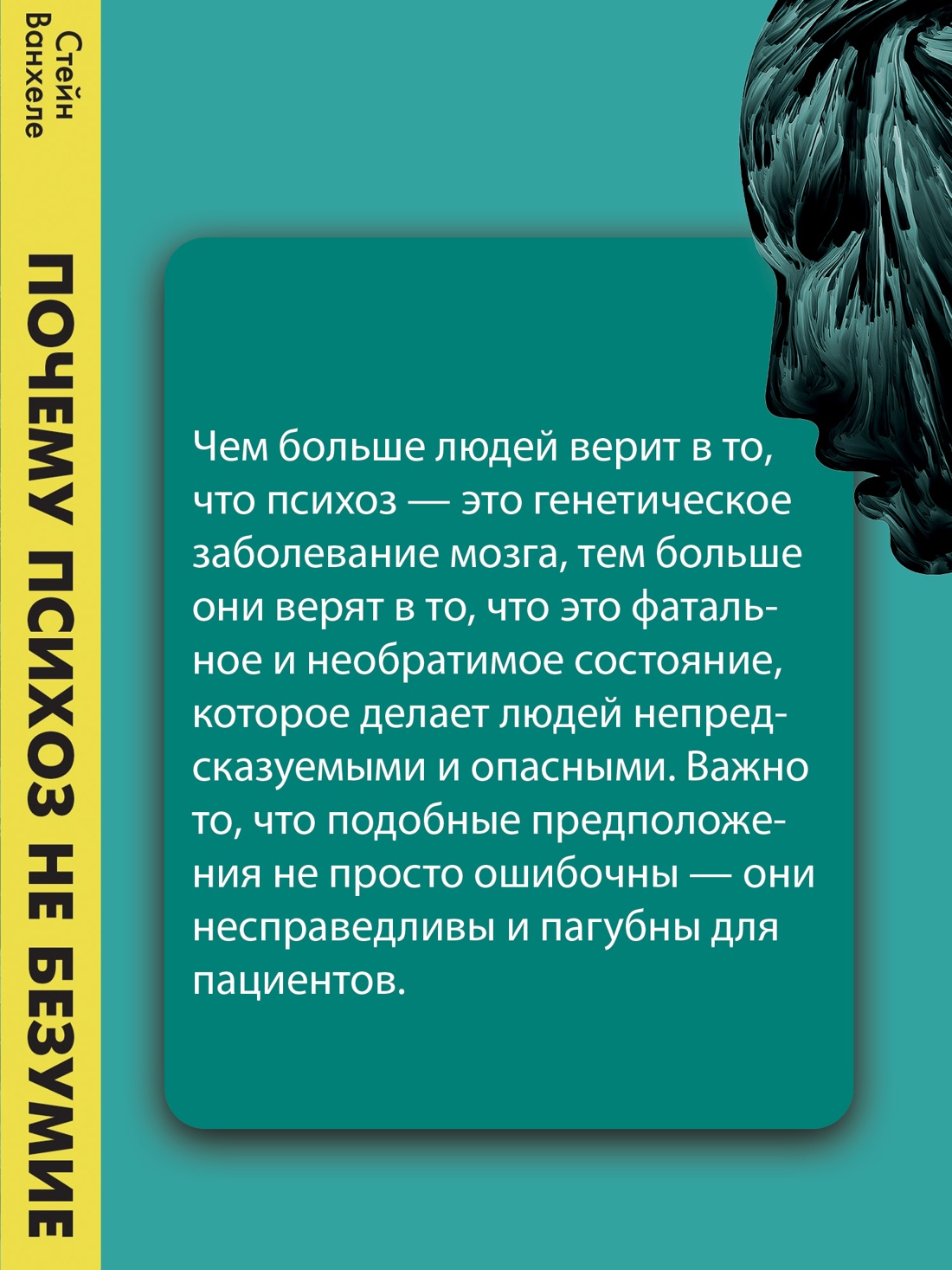 Промо материал к книге "Почему психоз не безумие. Рекомендации для специалистов, пациентов и их родных" №3