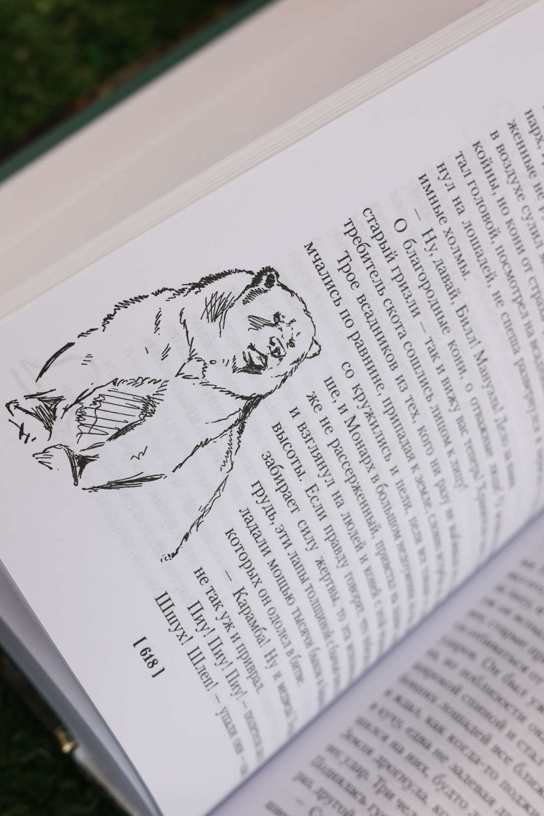 Промо материал к книге "Рольф в лесах. Лесные рассказы" №11