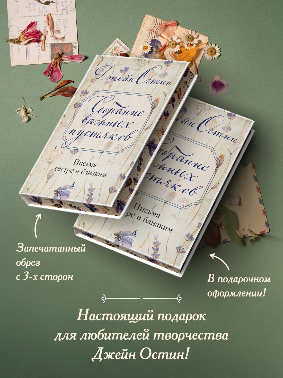 Промо материал к книге "Собрание важных пустяков. Письма сестре и близким" №2