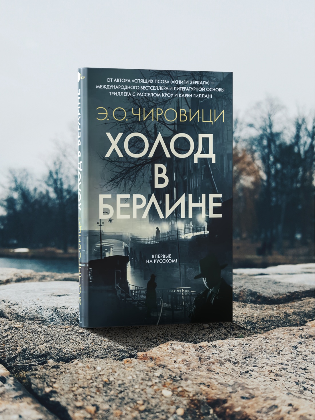 Промо материал к книге "Холод в Берлине" №3