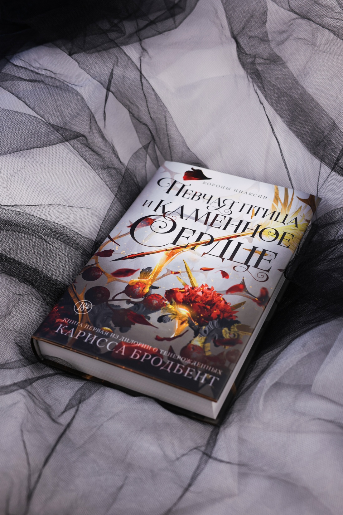 Промо материал к книге "Короны Ниаксии. Певчая птица и каменное сердце. Книга первая из дилогии о тенерожденных" №4