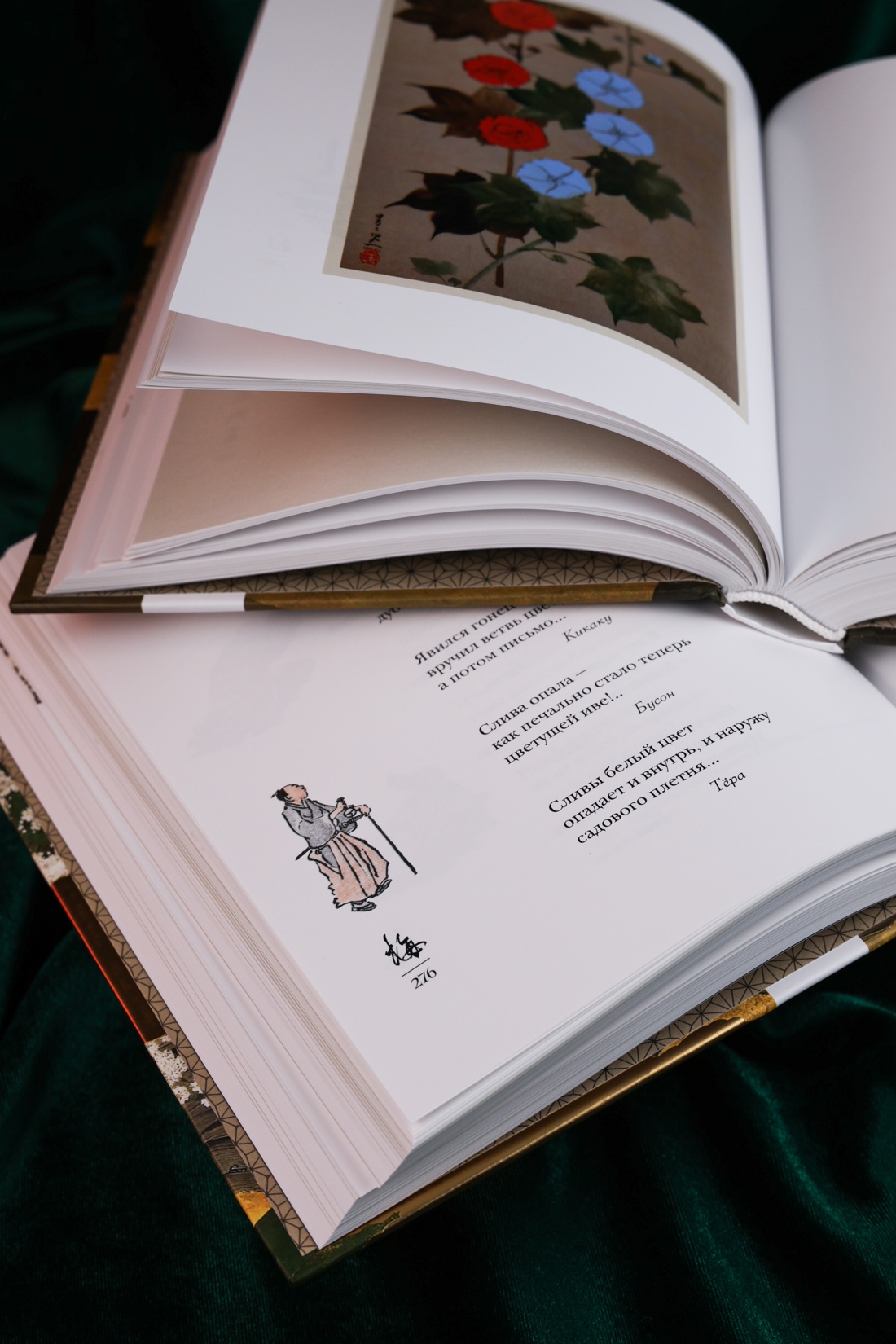 Промо материал к книге "Мир в капле. Комплект из 2-х книг в коробе" №10