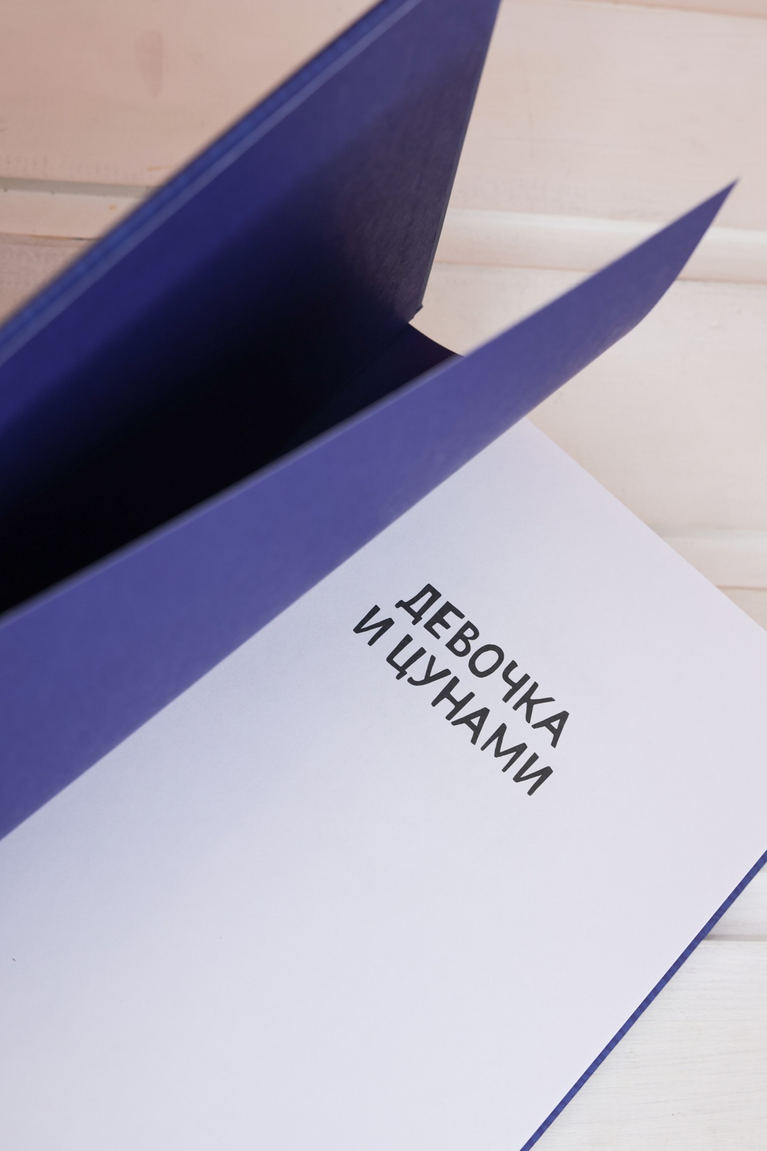 Промо материал к книге "Девочка и цунами" №8