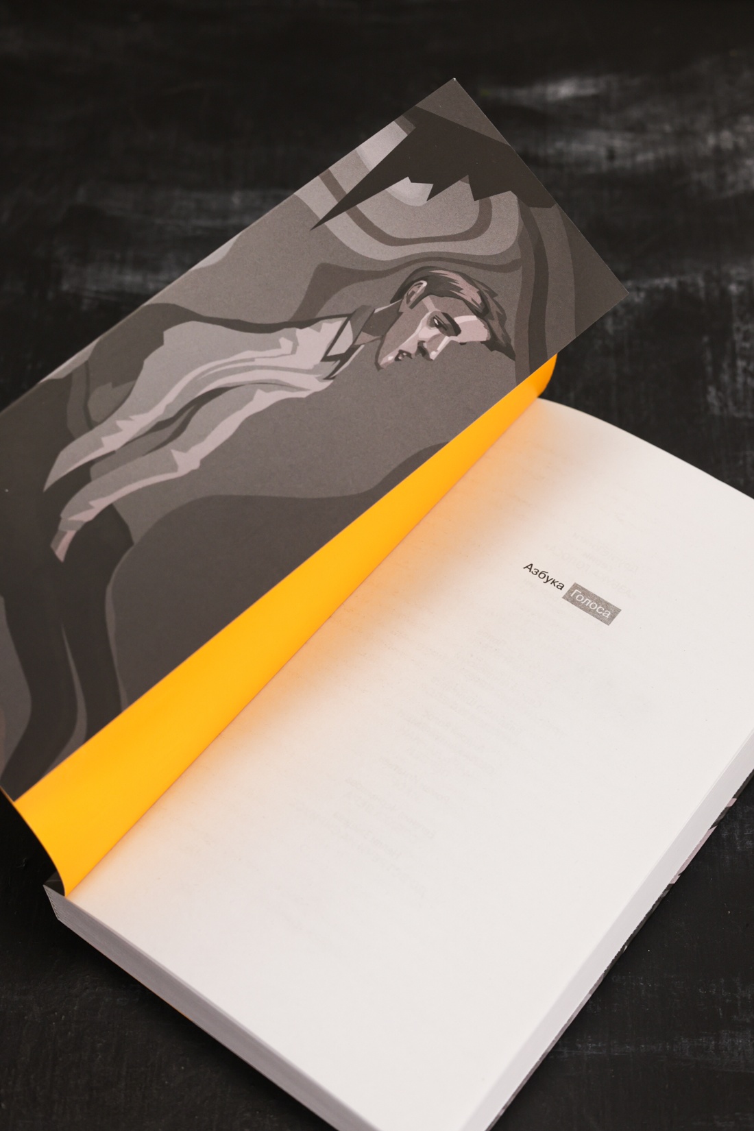 Промо материал к книге "Имитация" №6