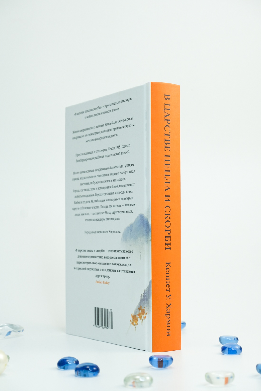 Промо материал к книге "В царстве пепла и скорби" №6