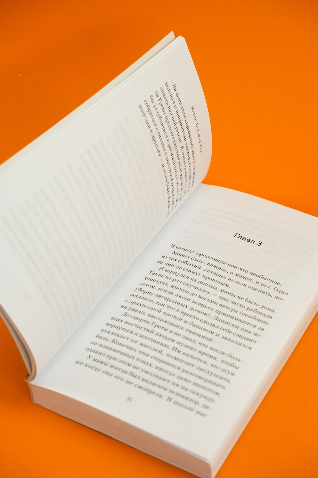 Промо материал к книге "Грета" №11