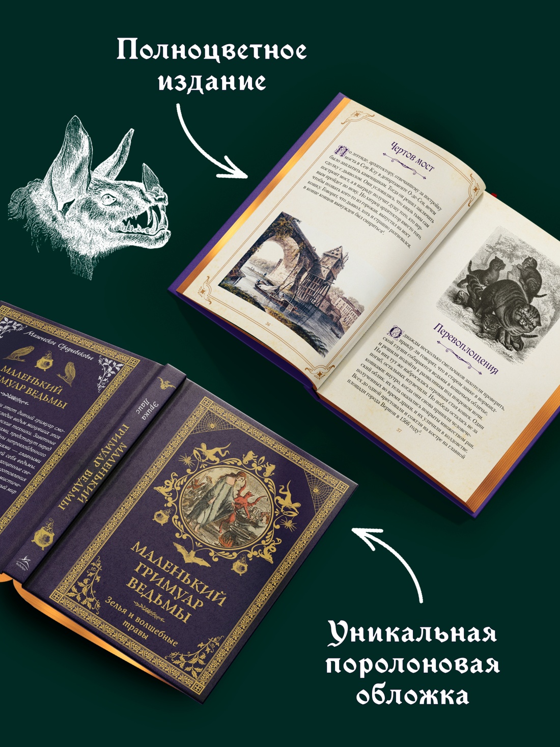 Промо материал к книге "Магические животные. Легенды и суеверия" №2