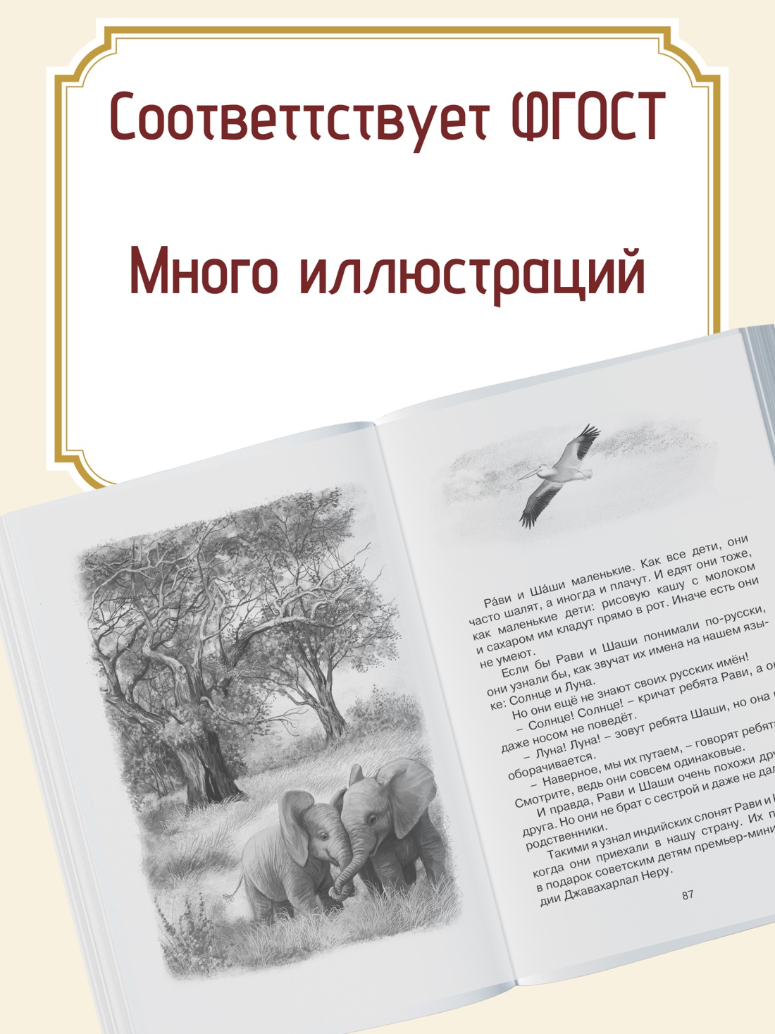 Промо материал к книге "Зачем белке хвост. Рассказы и повесть" №1