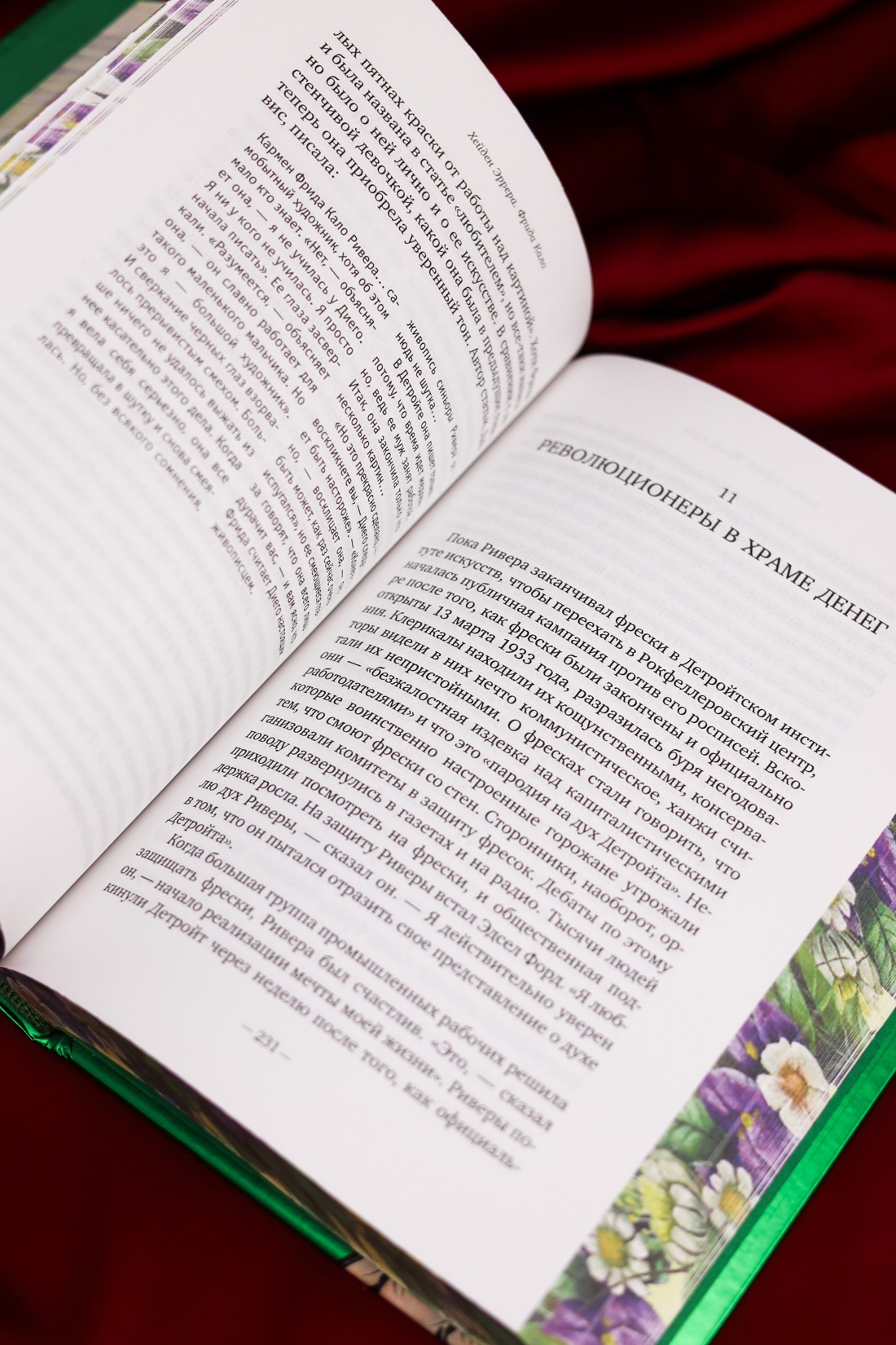 Промо материал к книге "Фрида Кало" №11