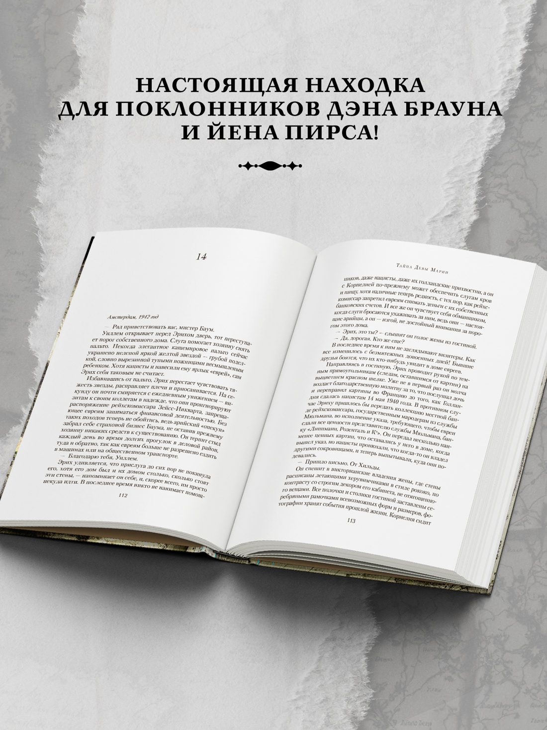 Промо материал к книге "Тайна Девы Марии.Тайна похищенной карты" №2