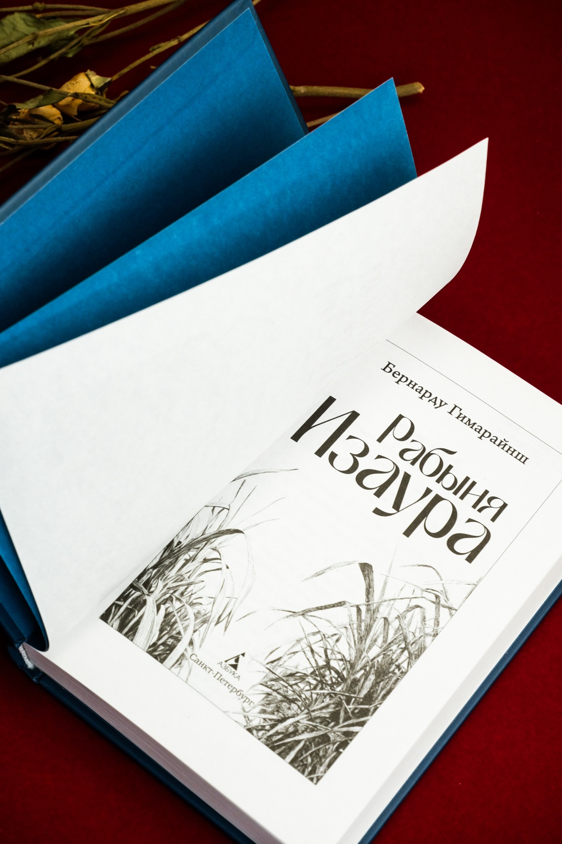 Промо материал к книге "Рабыня Изаура" №12