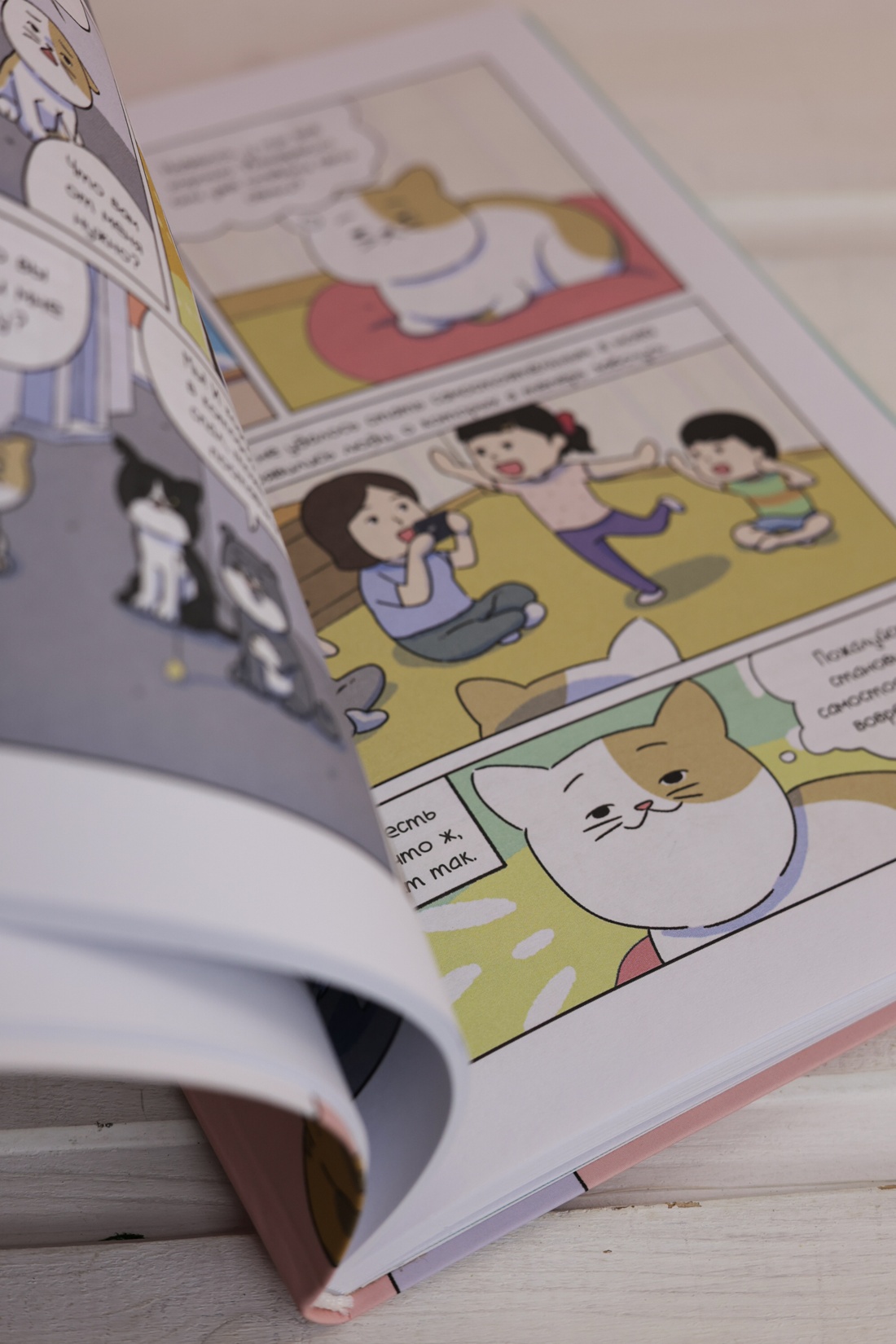 Промо материал к книге "Котёнок Наби. Я умываю лапы!" №10