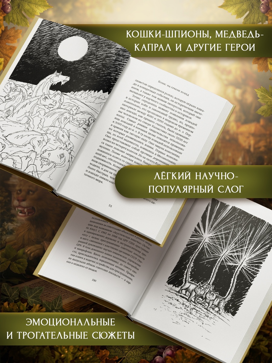 Промо материал к книге "Животные: Герои истории" №2