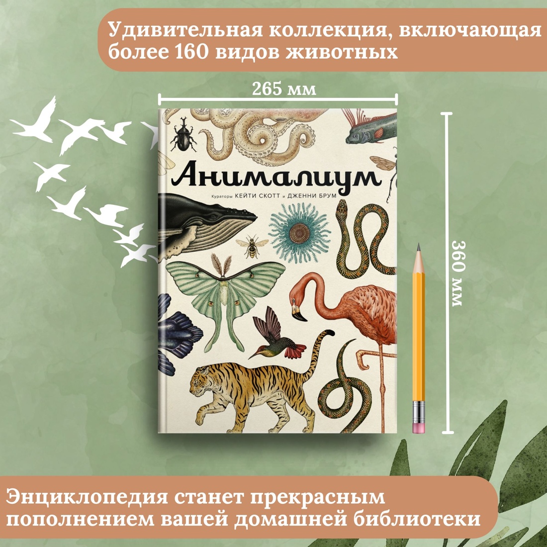 Промо материал к книге "Анималиум" №0