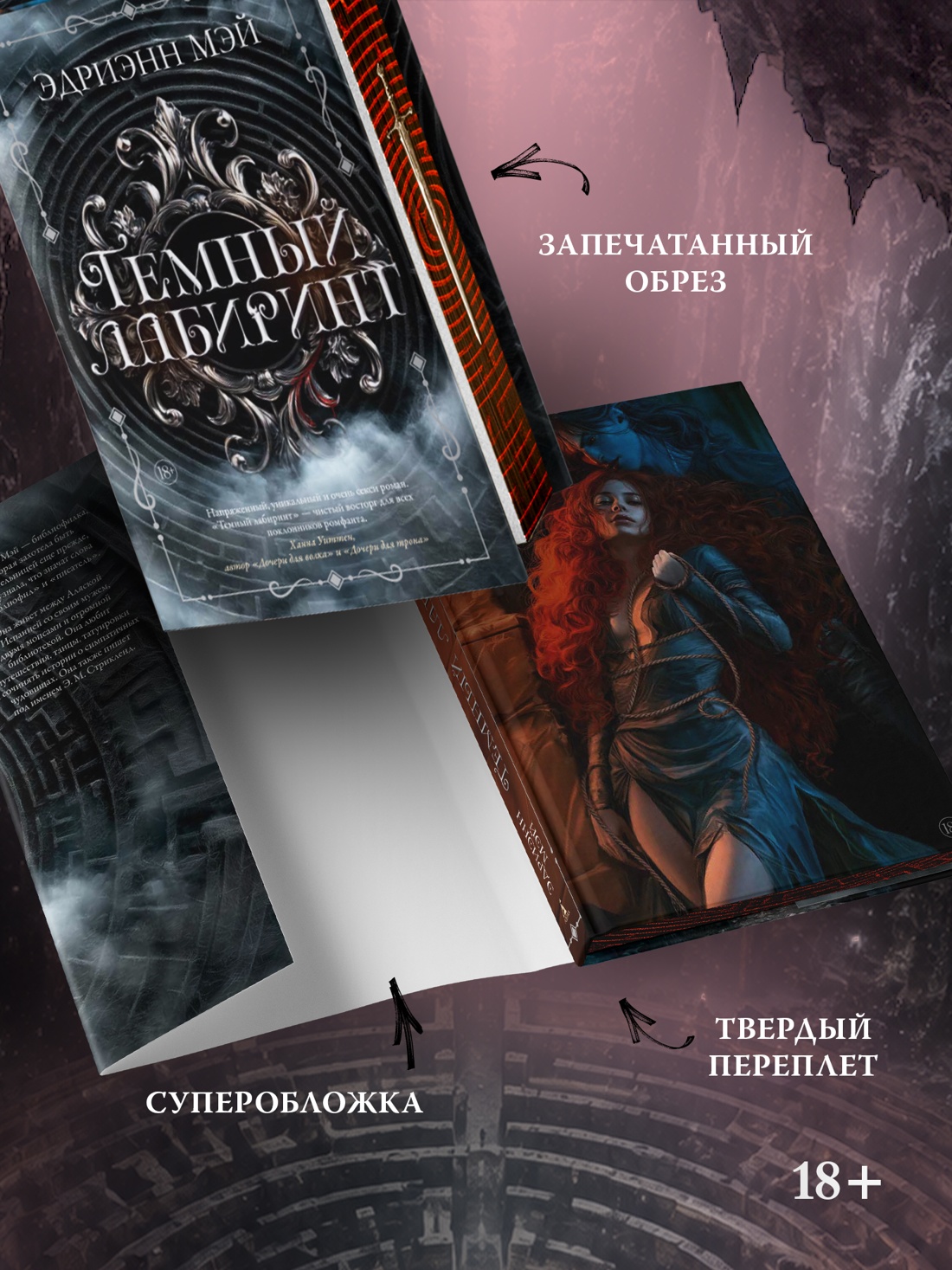 Промо материал к книге "Темный лабиринт. Книга 1" №2