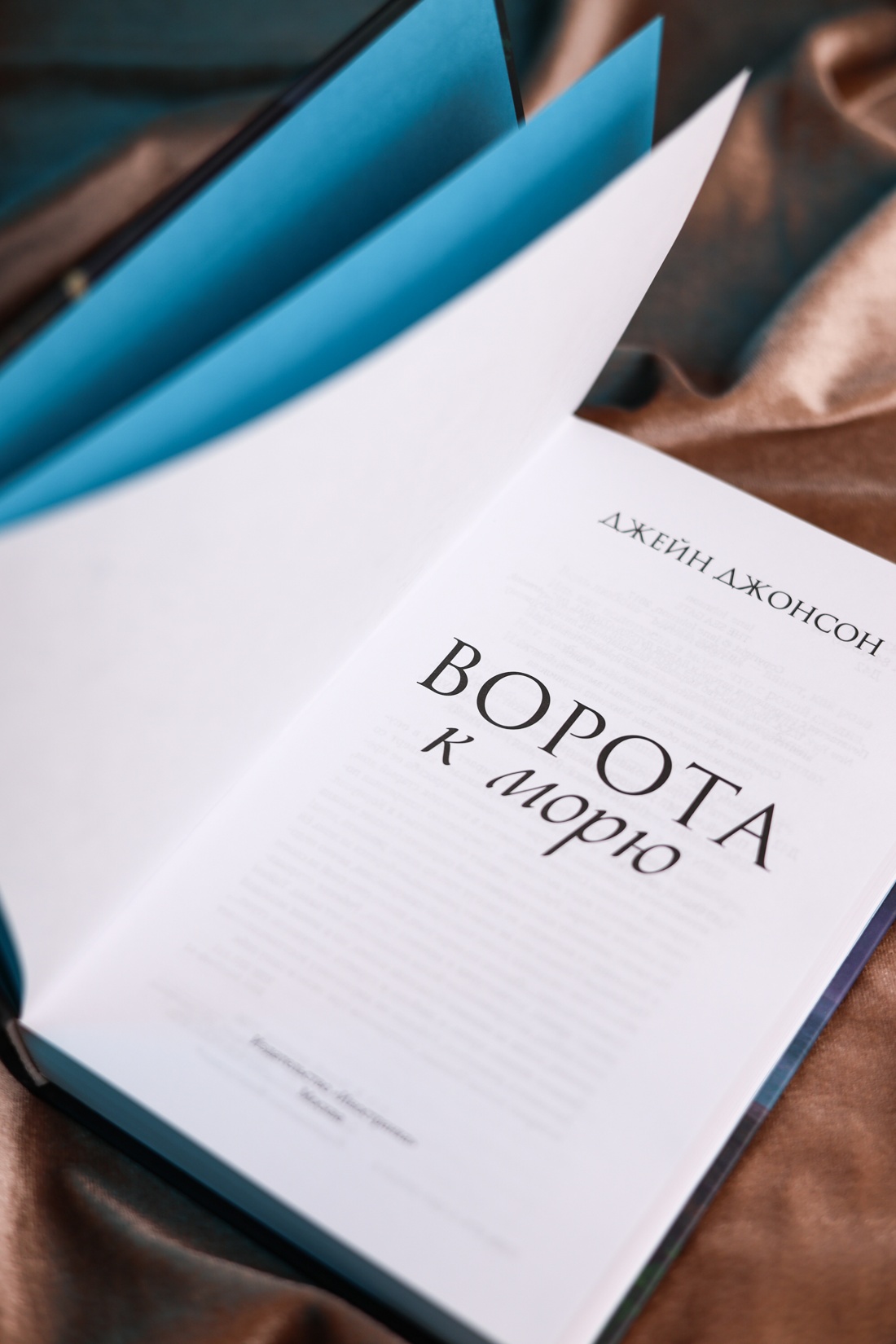Промо материал к книге "Ворота к морю" №6