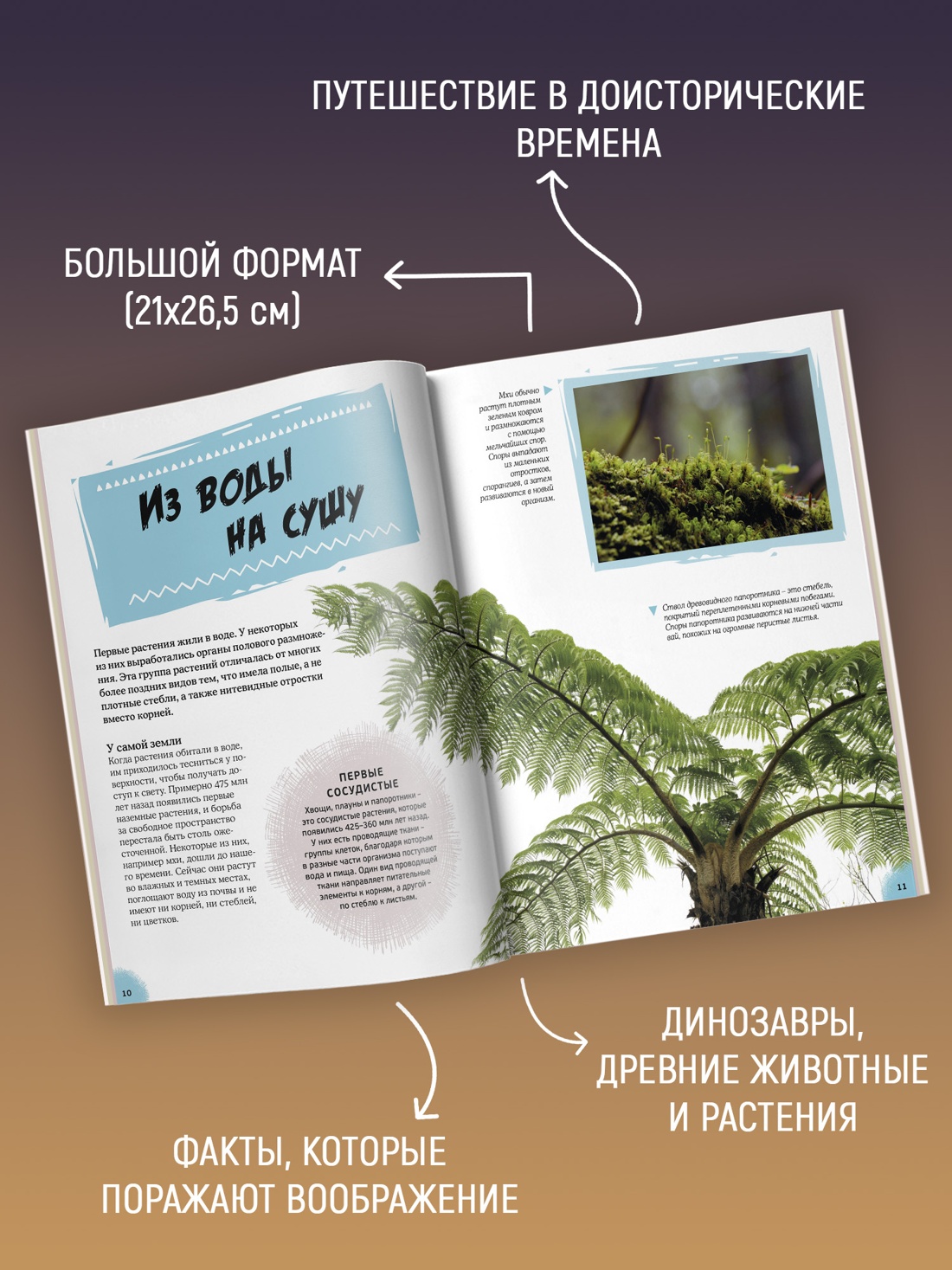 Промо материал к книге "Эра динозавров. Жизнь в доисторические времена" №1