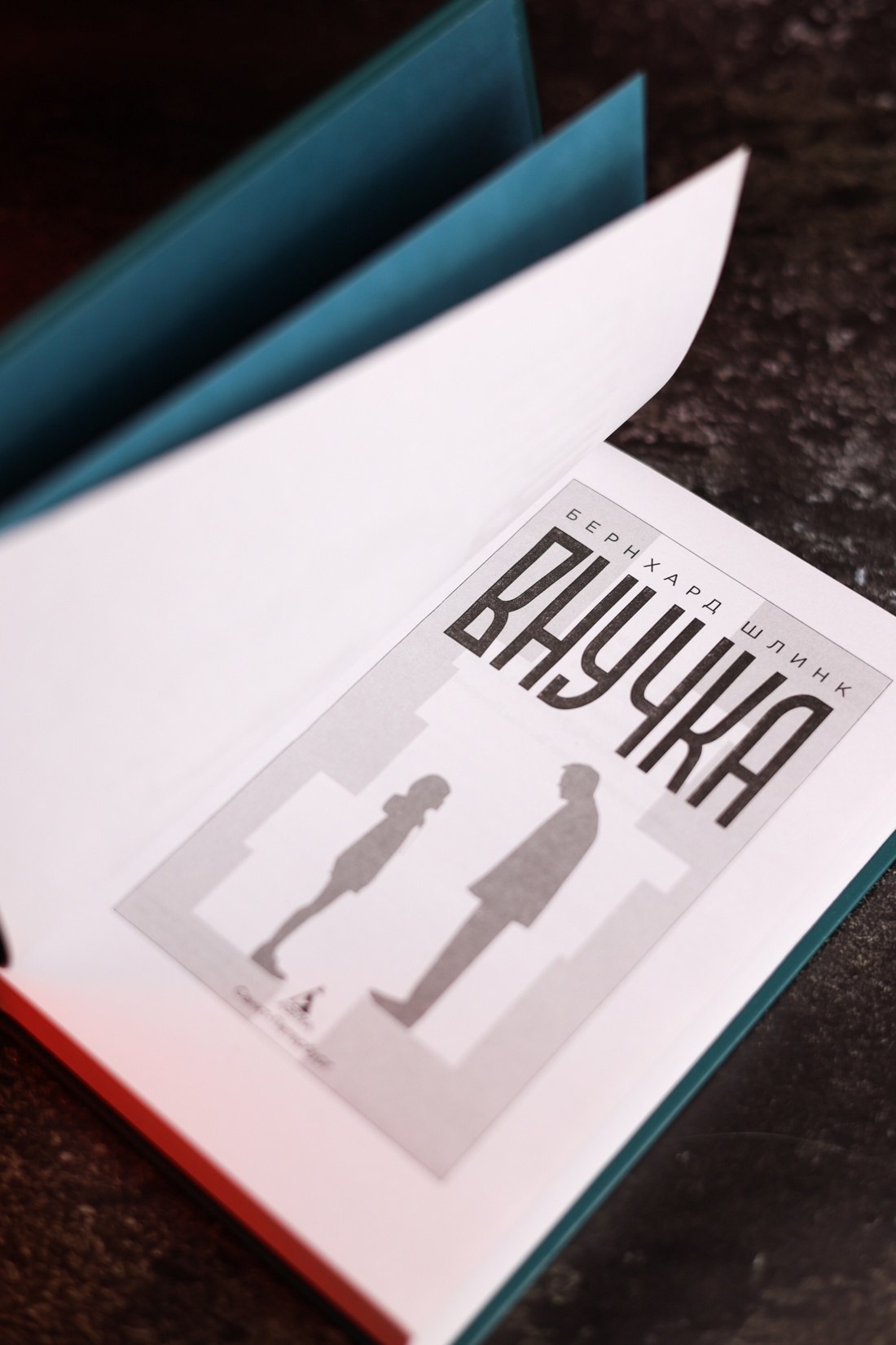 Промо материал к книге "Внучка (Настроение читать)" №6