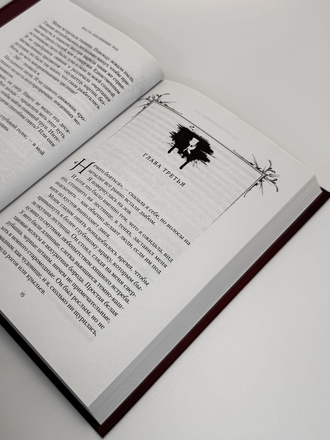 Промо материал к книге "Шесть опаленных роз" №9