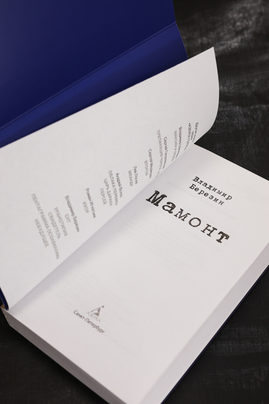 Промо материал к книге "Мамонт" №7